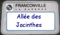 panneau Jacinthes