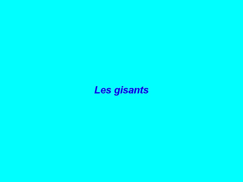 04_00_gisants_.jpg