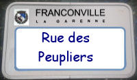 panneau Peupliers