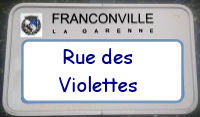 panneau Violettes